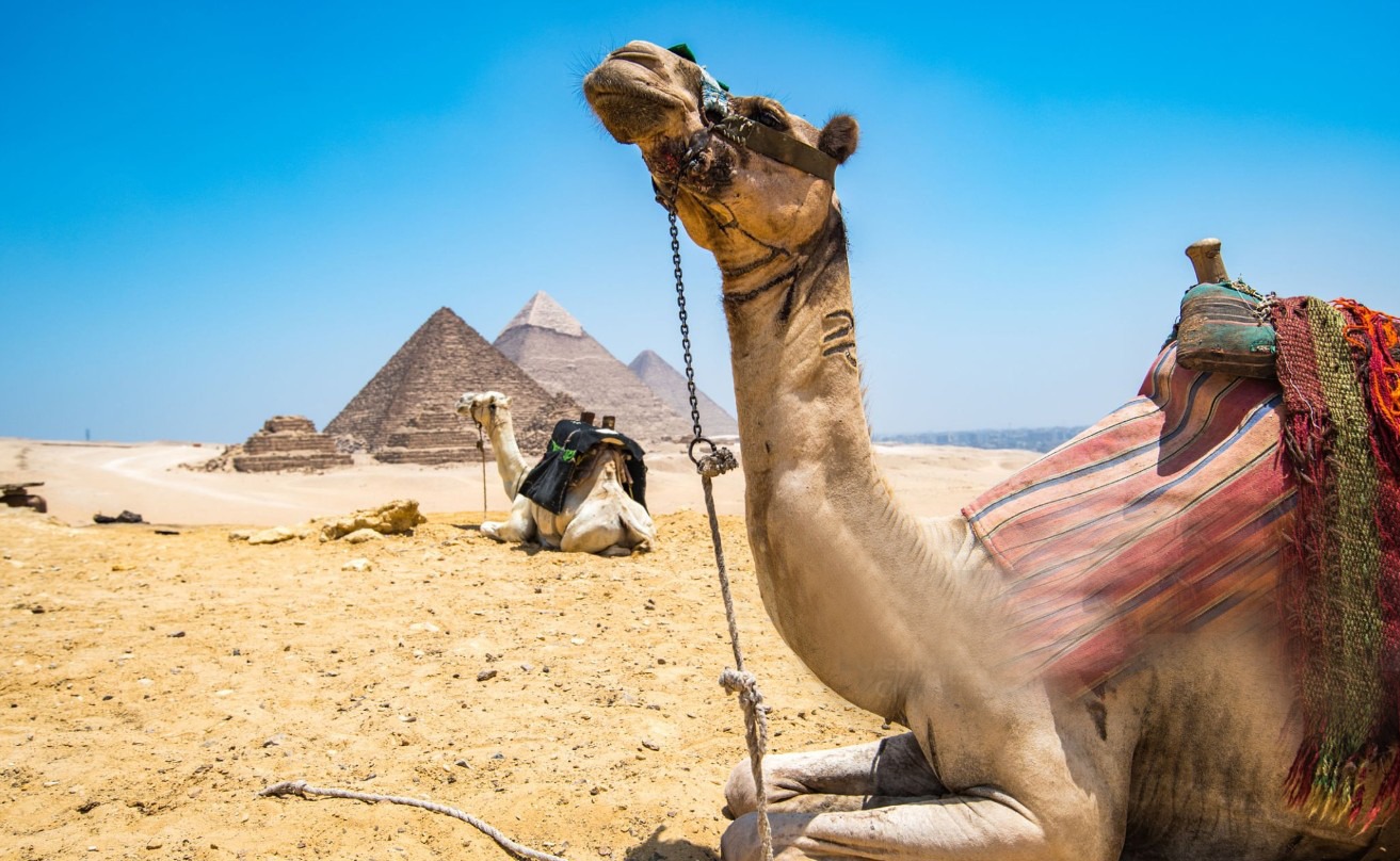 Willkommensbild Ägypten